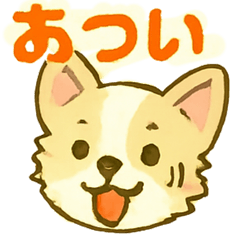 チワブなはなちゃんの日常⑦