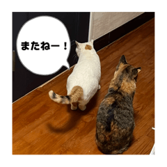 Kaori_20251007235326