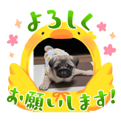 happy_20251008093844