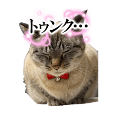 yuka_20251008000131