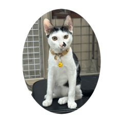 歐力的爸爸媽媽來了