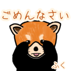 Fuku's lesser panda