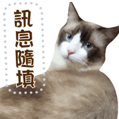 你好,貓2 ☆ 訊息貼圖隨你填