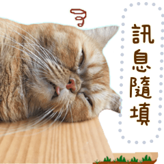 你好,貓3 ☆ 訊息貼圖隨你填