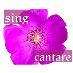 monica_20251007215522