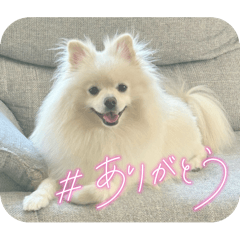 Yotsuba_20251008140355