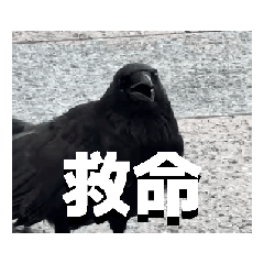 PR Lu_20251008115232