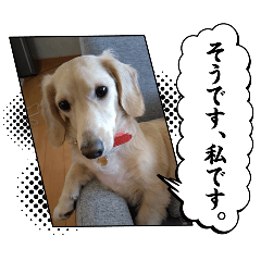 ayumi_20251008145236