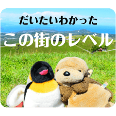 macochi_20251006151100