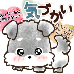 DogCat*^*^stickers_20251010