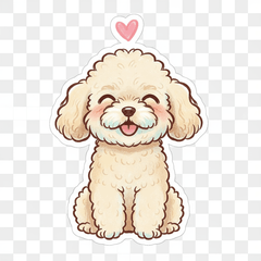 toy poodle heal