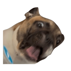 Rinka_20251007224321