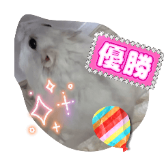 hikari_20251008191656