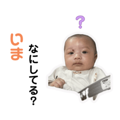 wakana_20251008200754