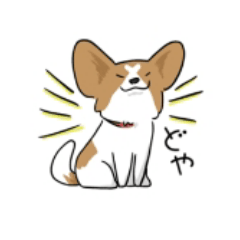 soki. d_20251008205959