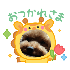bibitan_20251008221158