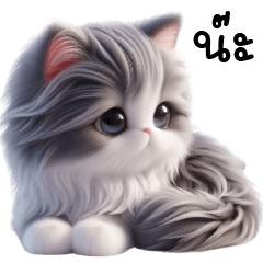 แมวเทาสายมึน