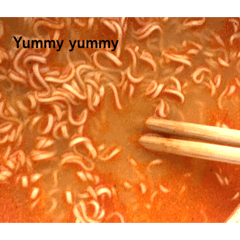 My best friend only you