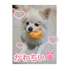 ayumi_20251008152607