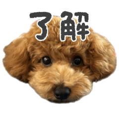 yuka_20251008155137