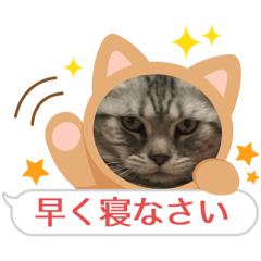 kotetsu_20251008203025