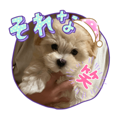 OMOCHI_20251008161759