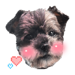 我是寶貝是隻狗3