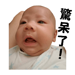 小豆豆豆豆豆豆豆豆豆豆