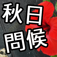 2025-14-Autumn Greetings