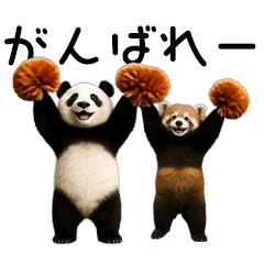 動く！パンダ&レッサーパンダ