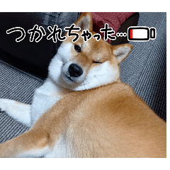 happy_20251008180728