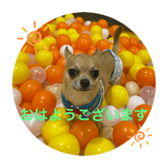 maimai_20251008181612