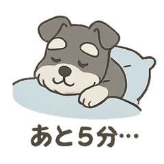 Chill Schnauzer  Everyday Moments