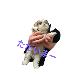 zipimaru_20251008183729