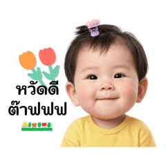 Baodaibaointer
