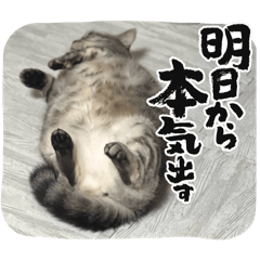 yuka_20251008223340