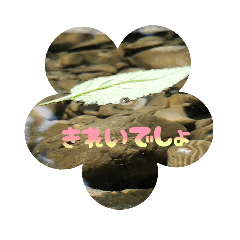 kurumi_20251008162358