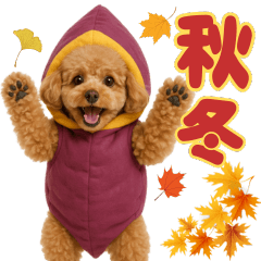 【秋冬】ずっと使えるトイプードル