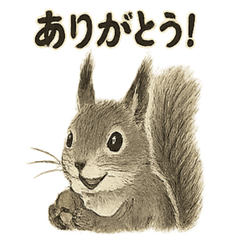 Sumi-e Squirrel  Warm Daily Stickers