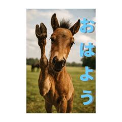 Animal Sticker Pony Edition