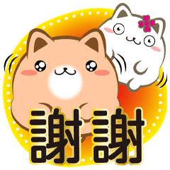 ★胖菓子亮麗常用對話★