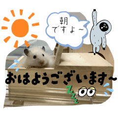 Paris_20251008212551