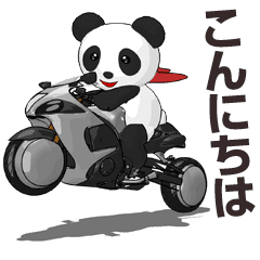 Panda Rider New School