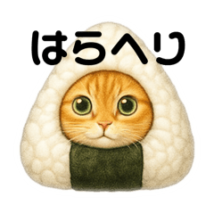 Tammy_20251008223430