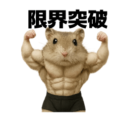 マッスルハムスターぷくちゃん