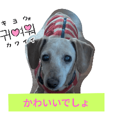 Yumi_20251008224604