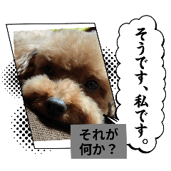 bibitan_20251008225709