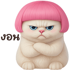 ❤️แมวขาว ม้าเต่อชมพู❤️