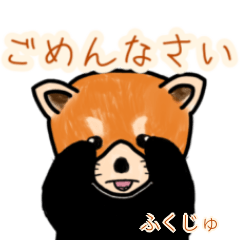 Fukuju's lesser panda