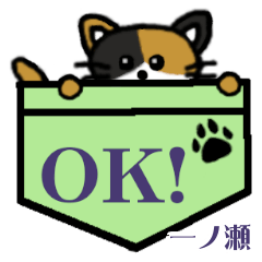 Ichinose's Pocket Cat's  [6]